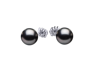 Tahitian Pearl Ava Earring