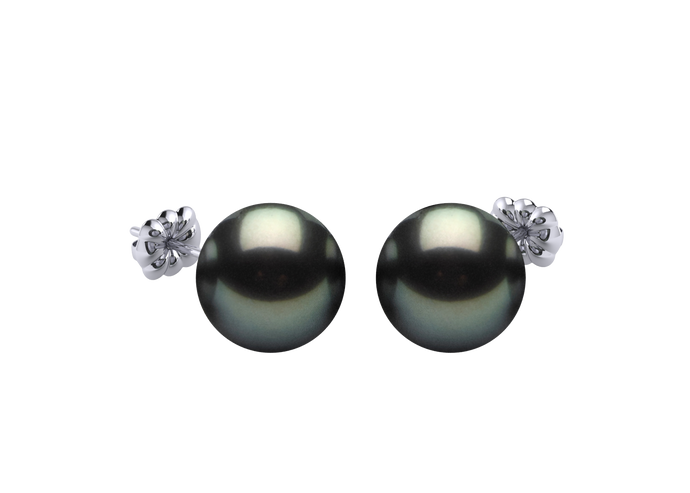 Tahitian Pearl Amelia Earring