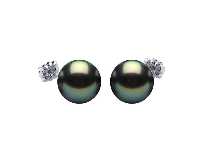 Tahitian Pearl Harper Earring