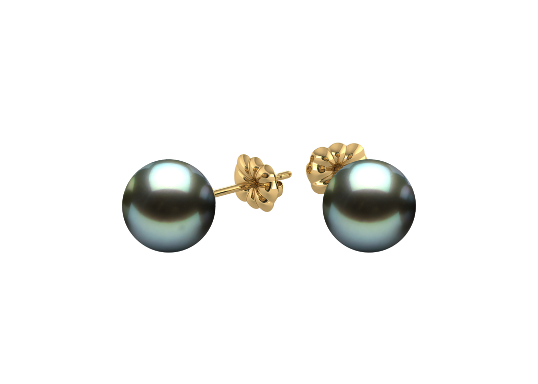 Tahitian Pearl Penelope Earring