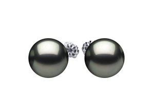 Tahitian Pearl Summer Earring