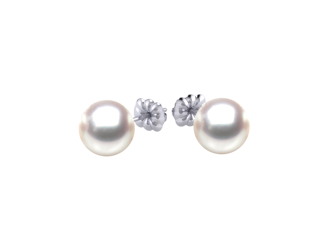 A natural color lustrous TRUE AAA QUALITY Australian South Sea Pearl Earring set features two 8mm South Sea cultured pearls. The Metal is 14K White Gold. The gram weight in this piece is approximately 0.59.
