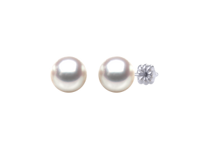 A natural color lustrous TRUE AAA QUALITY Australian South Sea Pearl Earring set features two 8mm South Sea cultured pearls. The Metal is 14K White Gold. The gram weight in this piece is approximately 1.52.