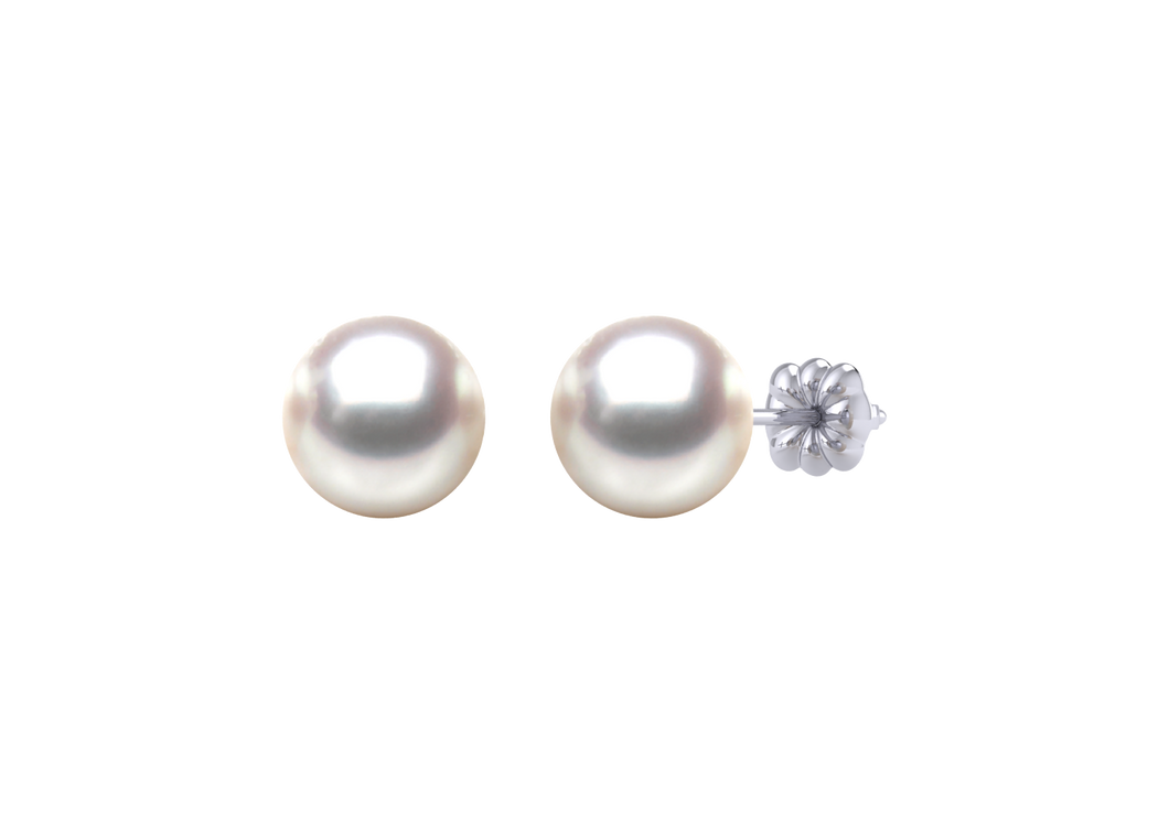 A natural color lustrous TRUE AAA QUALITY Australian South Sea Pearl Earring set features two 8mm South Sea cultured pearls. The Metal is 14K White Gold. The gram weight in this piece is approximately 1.52.