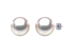 South Sea Pearl Ivy Earring