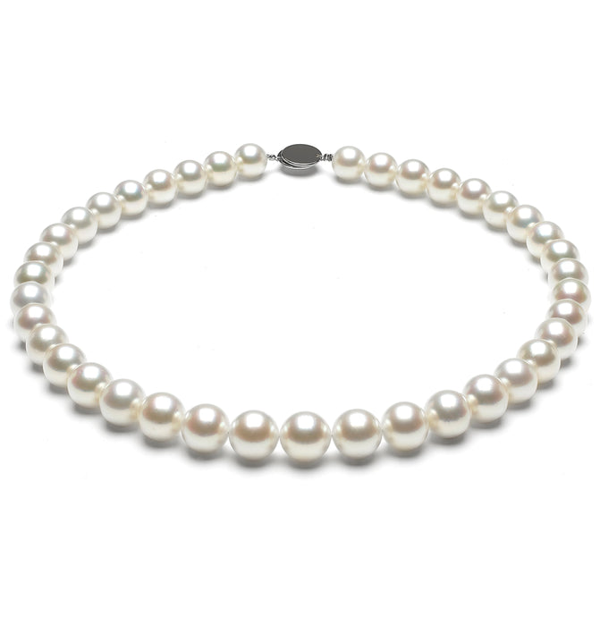 10mm x 11mm Round AA Quality White Saltwater Cultured pearl necklace 16 Inches