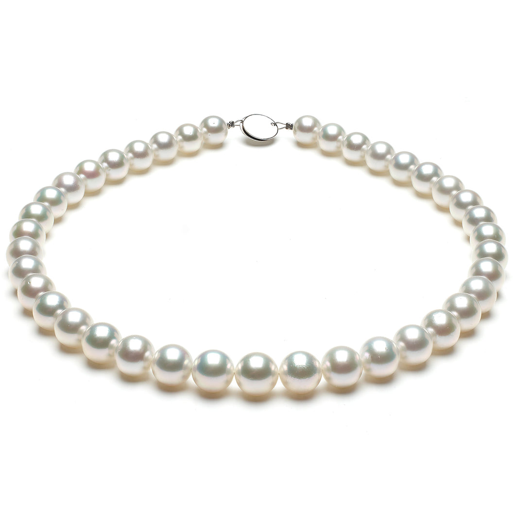 10mm x 10.5mm Round AA Quality White Saltwater Cultured pearl necklace 16 Inches