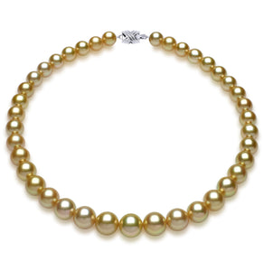 10mm x 10.5mm Round True AAA Quality Deep Gold-24K Color Saltwater Cultured Pearl Necklace