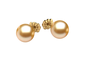 Golden South Sea Pearl Madilyn Earring