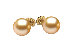Golden South Sea Pearl Felicity Earring