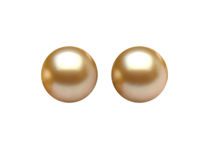 Golden South Sea Pearl Jacqueline Earring