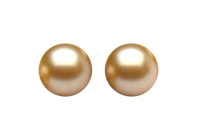 Golden South Sea Pearl Jacqueline Earring