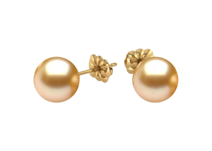 Golden South Sea Pearl Evie Earring