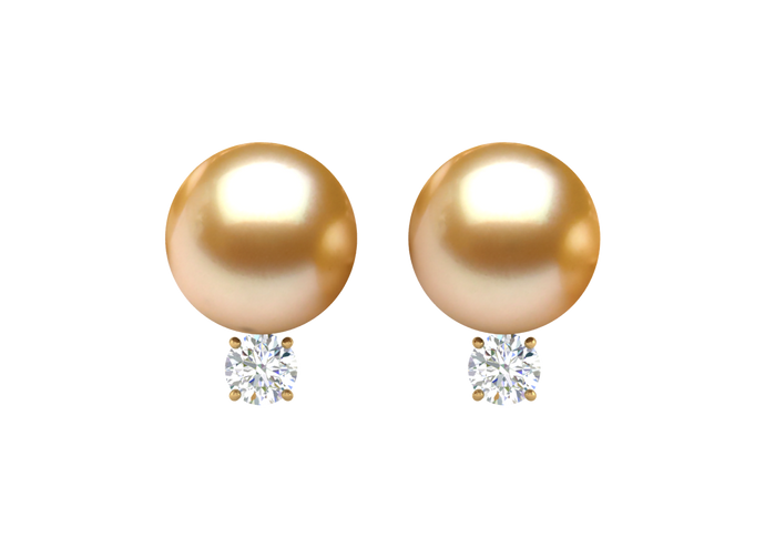 Golden South Sea Pearl Jenna Earring