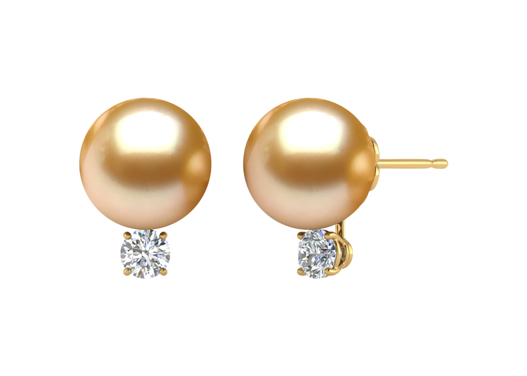 Golden South Sea Pearl Kayleigh Earring