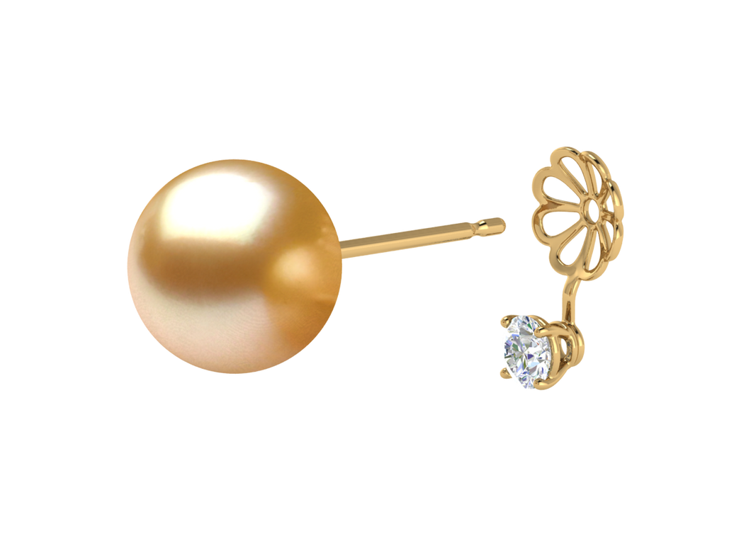 Golden South Sea Pearl Nadia Earring