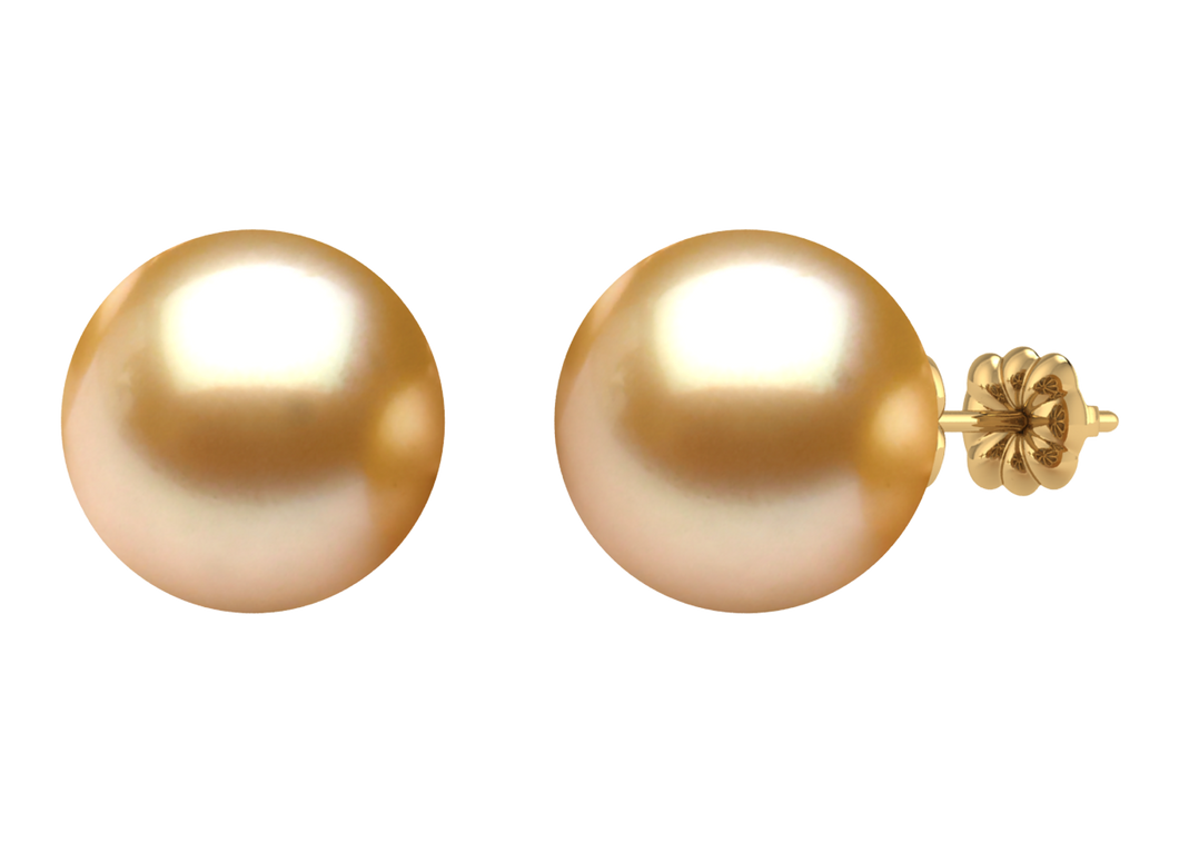 Golden South Sea Pearl Ryan Earring