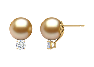 Golden South Sea Pearl Camryn Earring