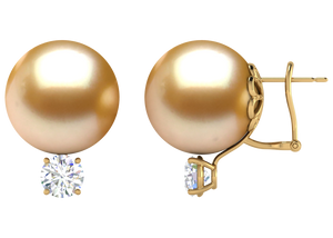 Golden South Sea Pearl Annabella Earring