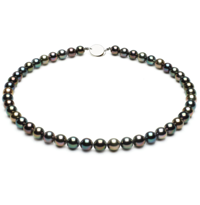 8 x 9mm Round True AAA Quality Multicolor Saltwater Cultured Pearl Necklace from French Polynesia with a Silver Clasp