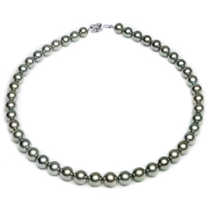 8 x 10mm Round True AAA Quality Green Saltwater Cultured Pearl Necklace from French Polynesia with a Silver Clasp