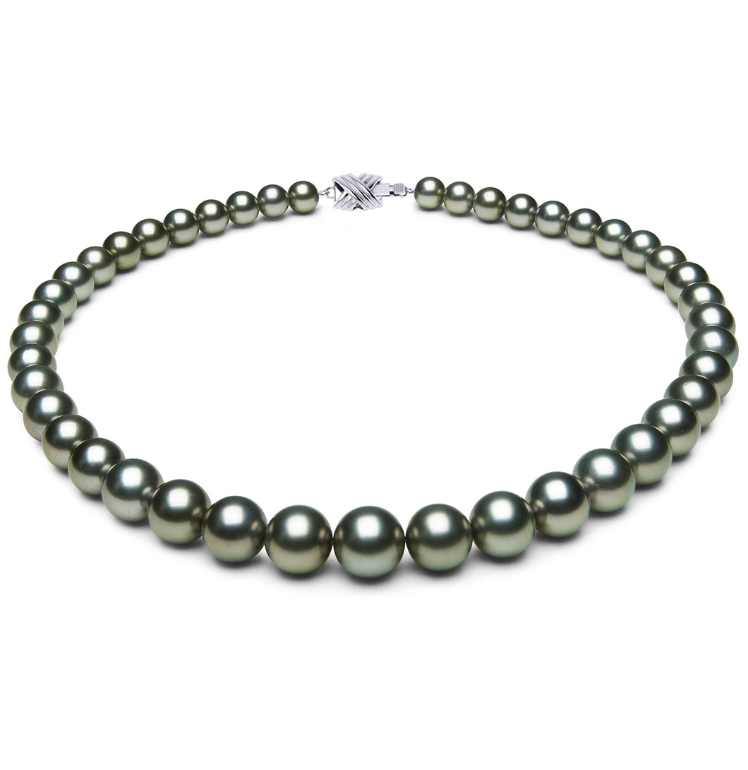 8 x 11mm Round True AAAQuality Green Saltwater Cultured Pearl Necklace from French Polynesia with a Silver Clasp