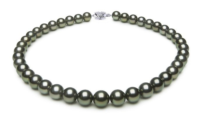 10 x 11mm Round True AAA Quality Peacock Saltwater Cultured Pearl Necklace from French Polynesia with a Silver Clasp