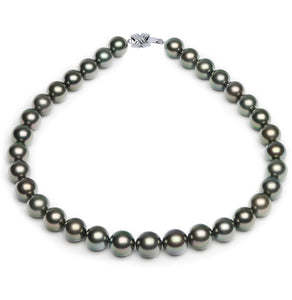 12 x 14mm Round True AAA Quality Black Green Saltwater Cultured Pearl Necklace from French Polynesia with a Silver Clasp