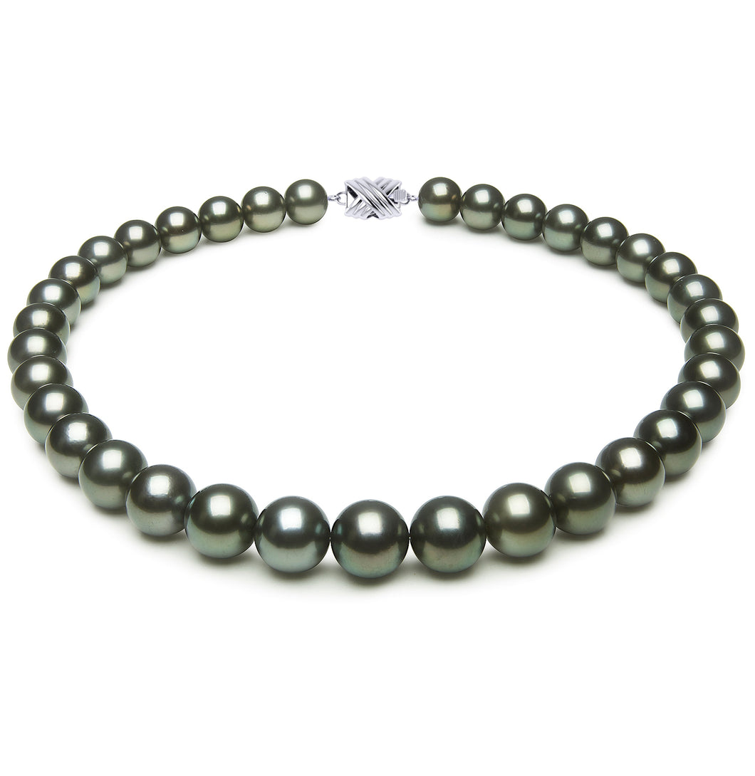 12 x 13mm Round True AAA Quality Peacock Saltwater Cultured Pearl Necklace from French Polynesia with a Silver Clasp