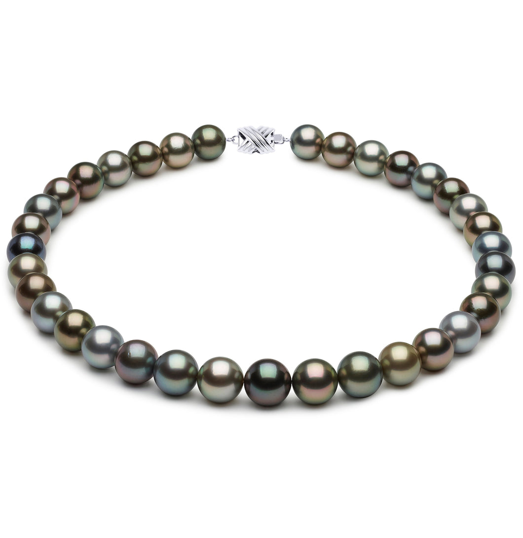 12 x 14mm Round True AAA Quality Multicolor Saltwater Cultured Pearl Necklace from French Polynesia with a Silver Clasp