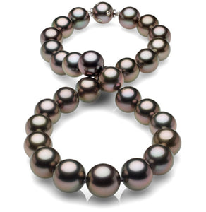 12 x 15mm Round AAA Quality Aubergine Saltwater Cultured Pearl Necklace from French Polynesia with a 14K Gold Clasp