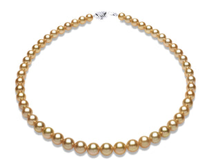 8 x 10mm Golden South Sea pearl Necklace